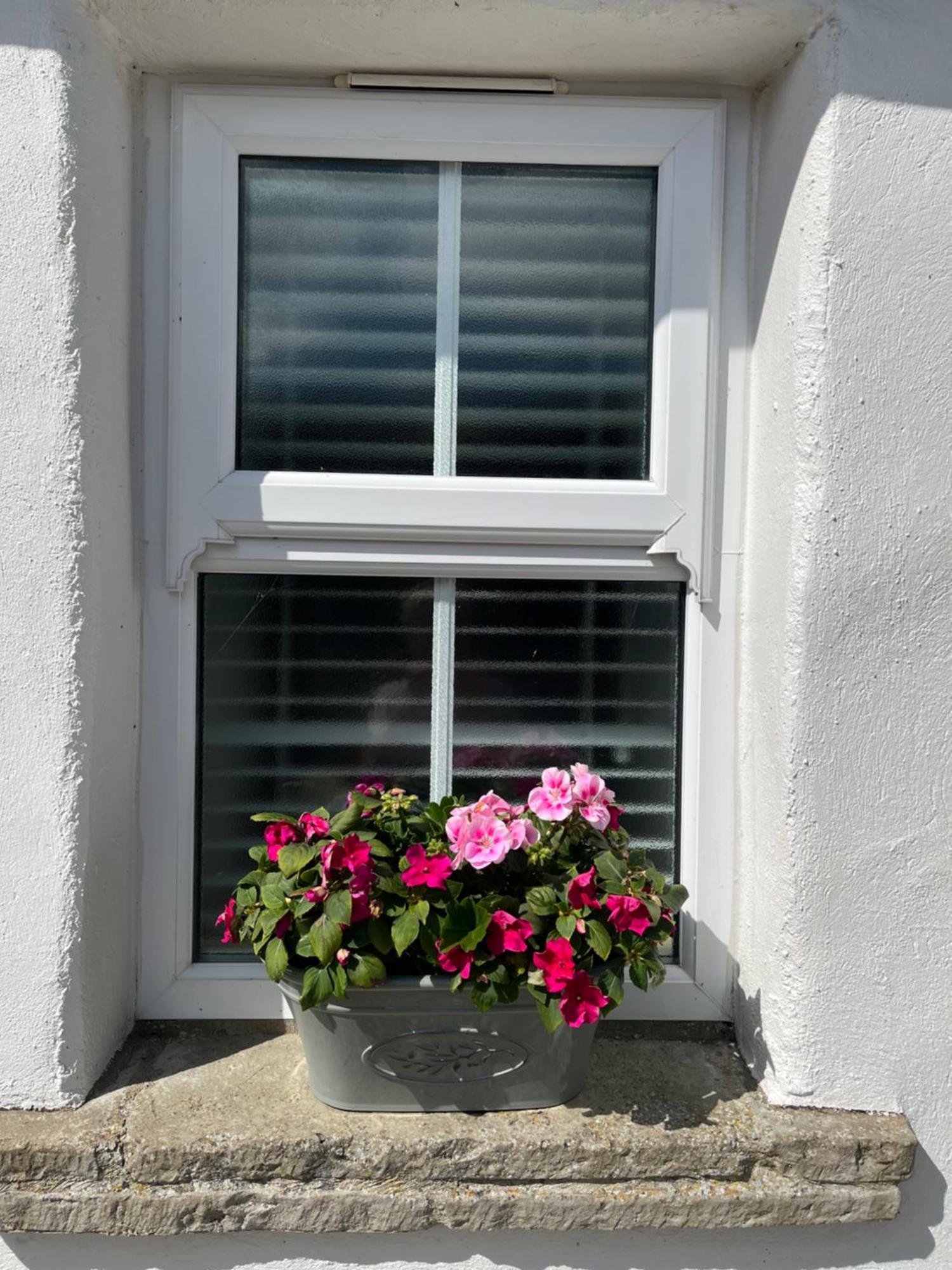 The Cottage At Ashbrook - Charming Country Cottage Near Belfast Exterior foto